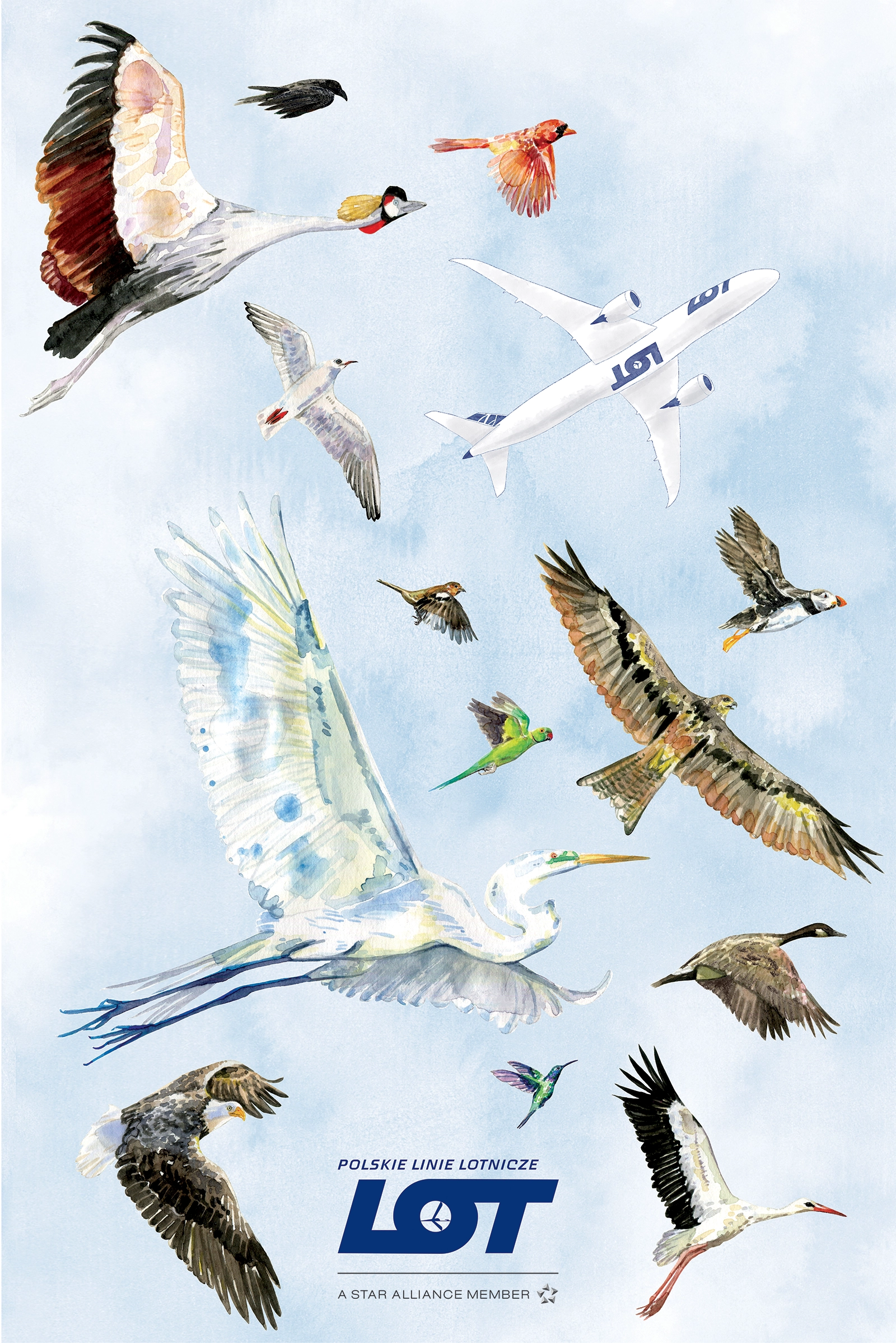 LOT Polish Airlines Poster